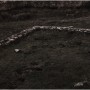 Raphaël Auvray Photographe - LES SERPENTS Image 820